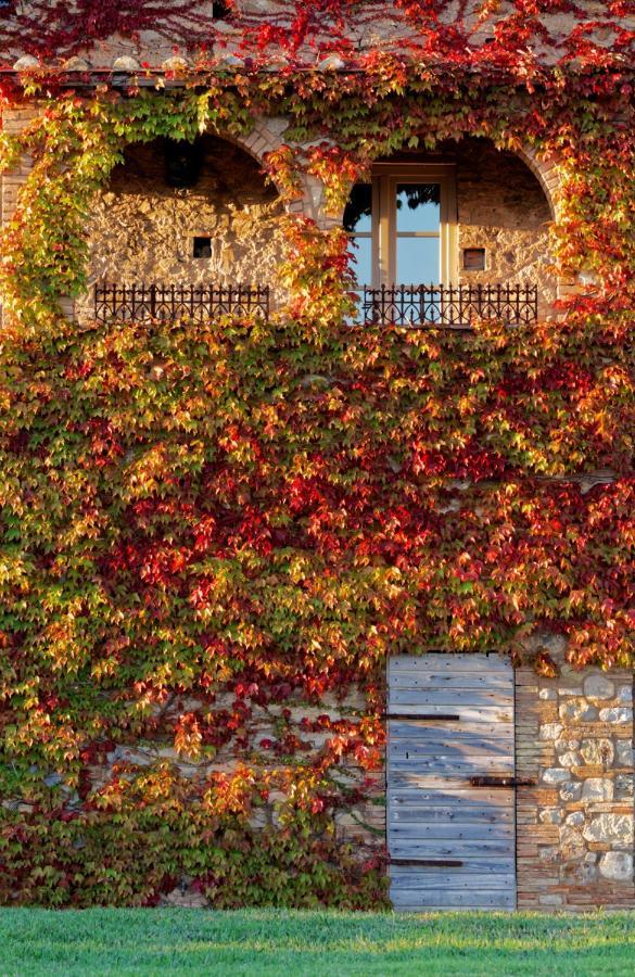 Bed and Breakfast Relais Sant'Elena Bibbona Exteriér fotografie