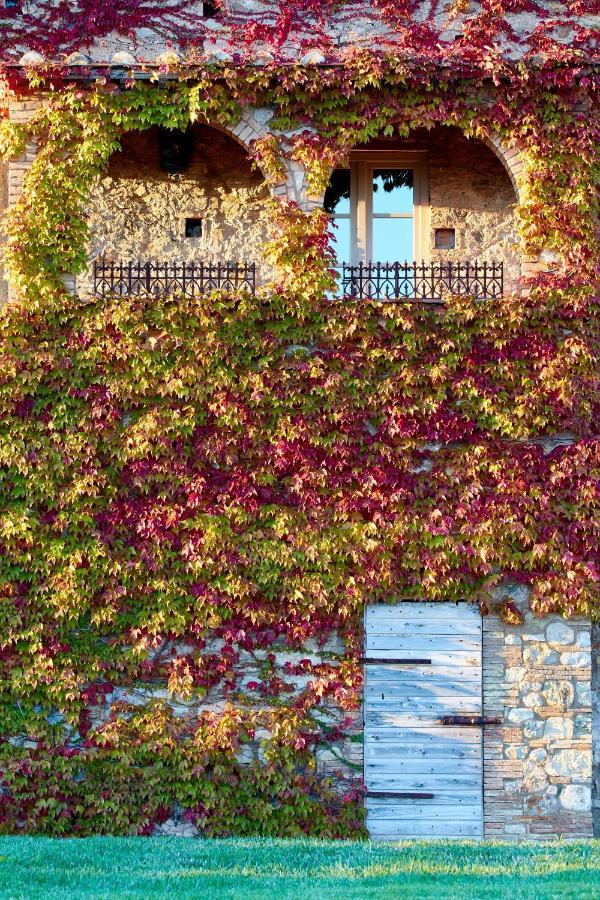 Bed and Breakfast Relais Sant'Elena Bibbona Exteriér fotografie