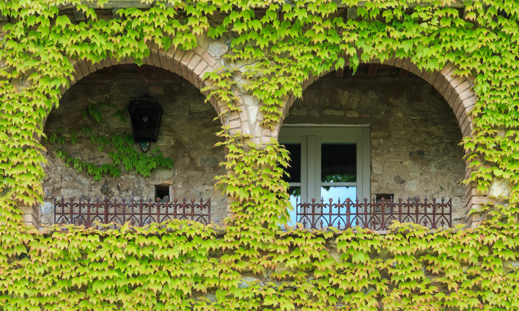 Bed and Breakfast Relais Sant'Elena Bibbona Exteriér fotografie